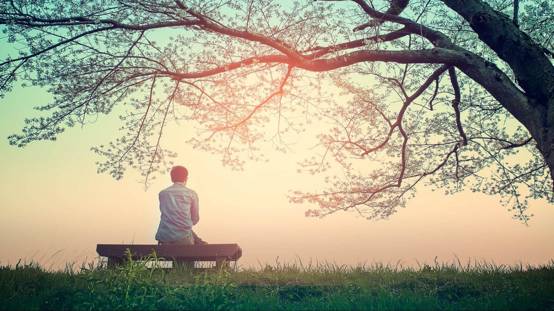 The Benefits of Mindfulness Meditation